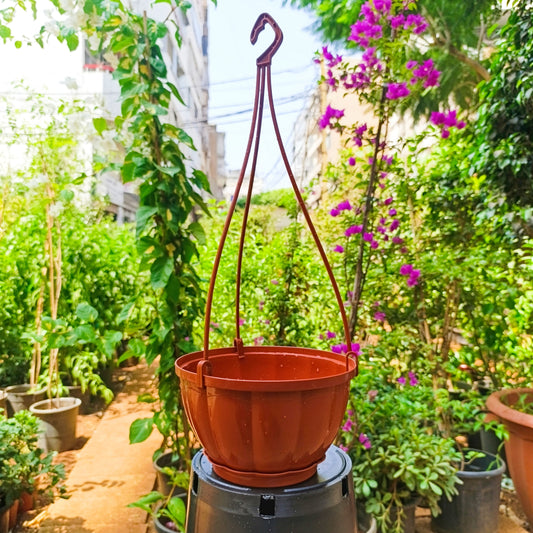 Hanging Plastic Pot