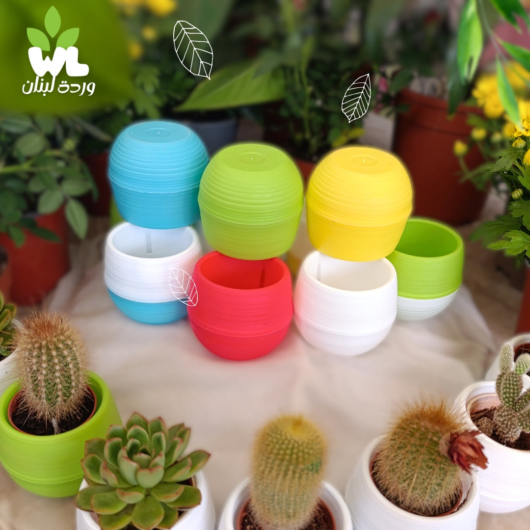 Swappable Base  Succulent Multi-Color Pots