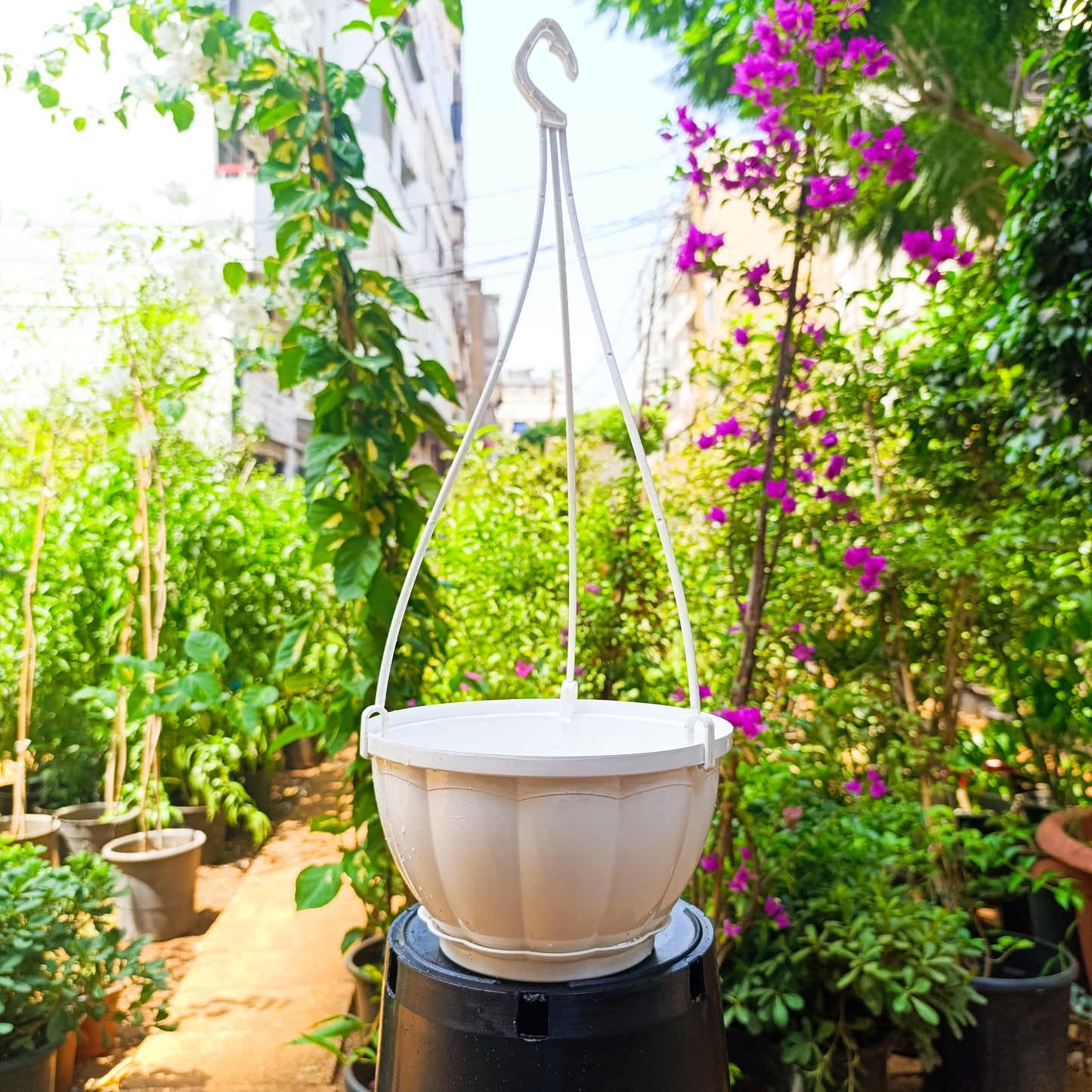 Hanging Plastic Pot