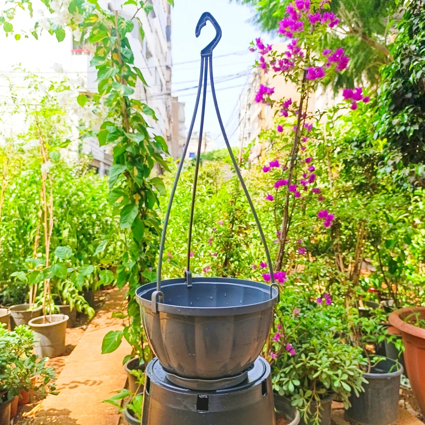 Hanging Plastic Pot
