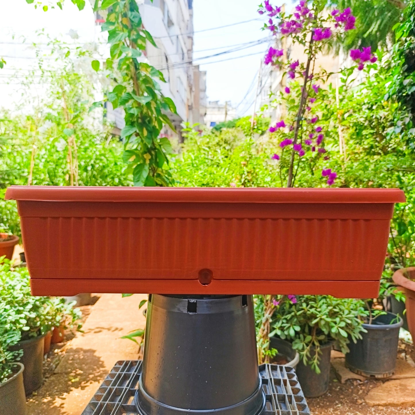 Plastic Rectangular Ridged Planter
