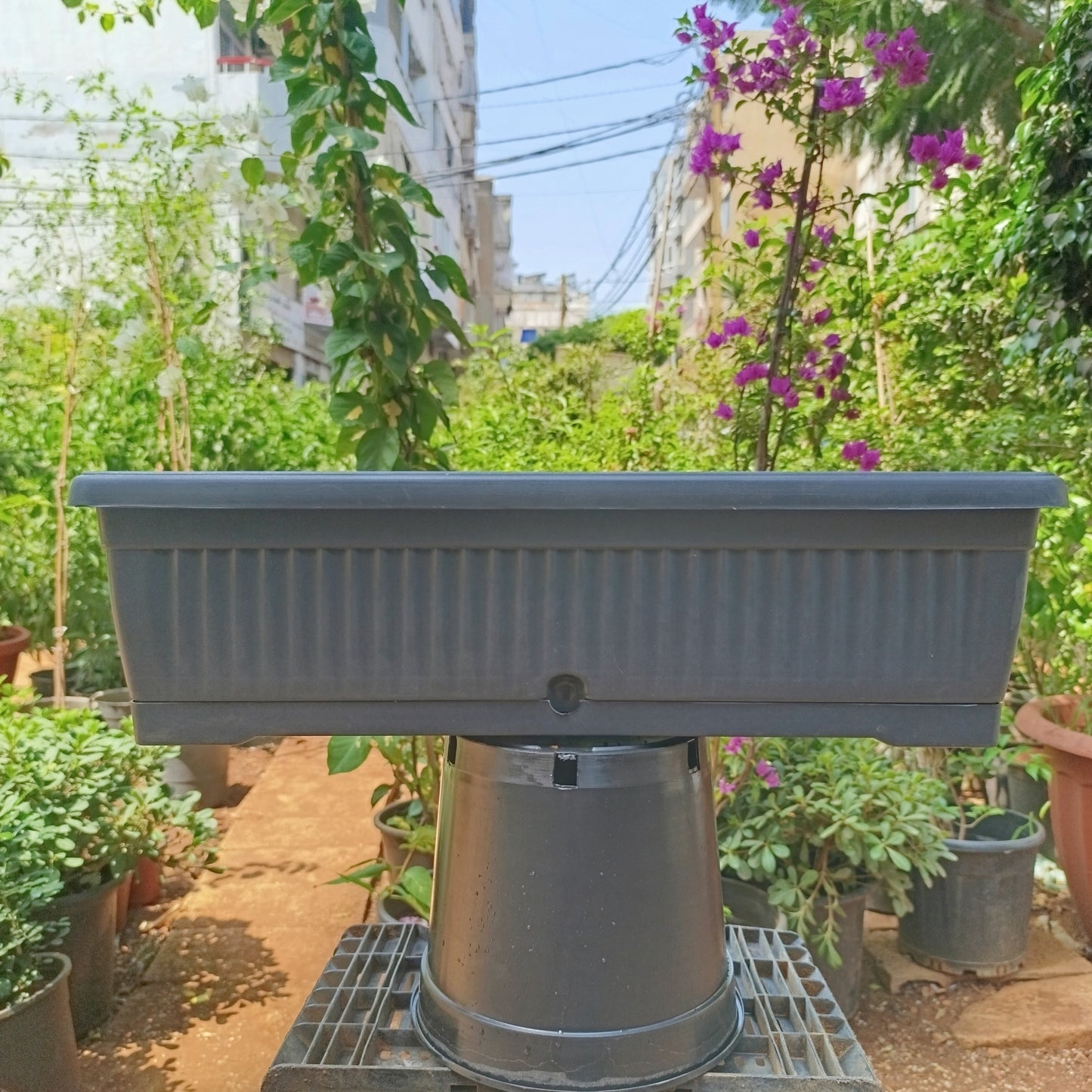 Plastic Rectangular Ridged Planter