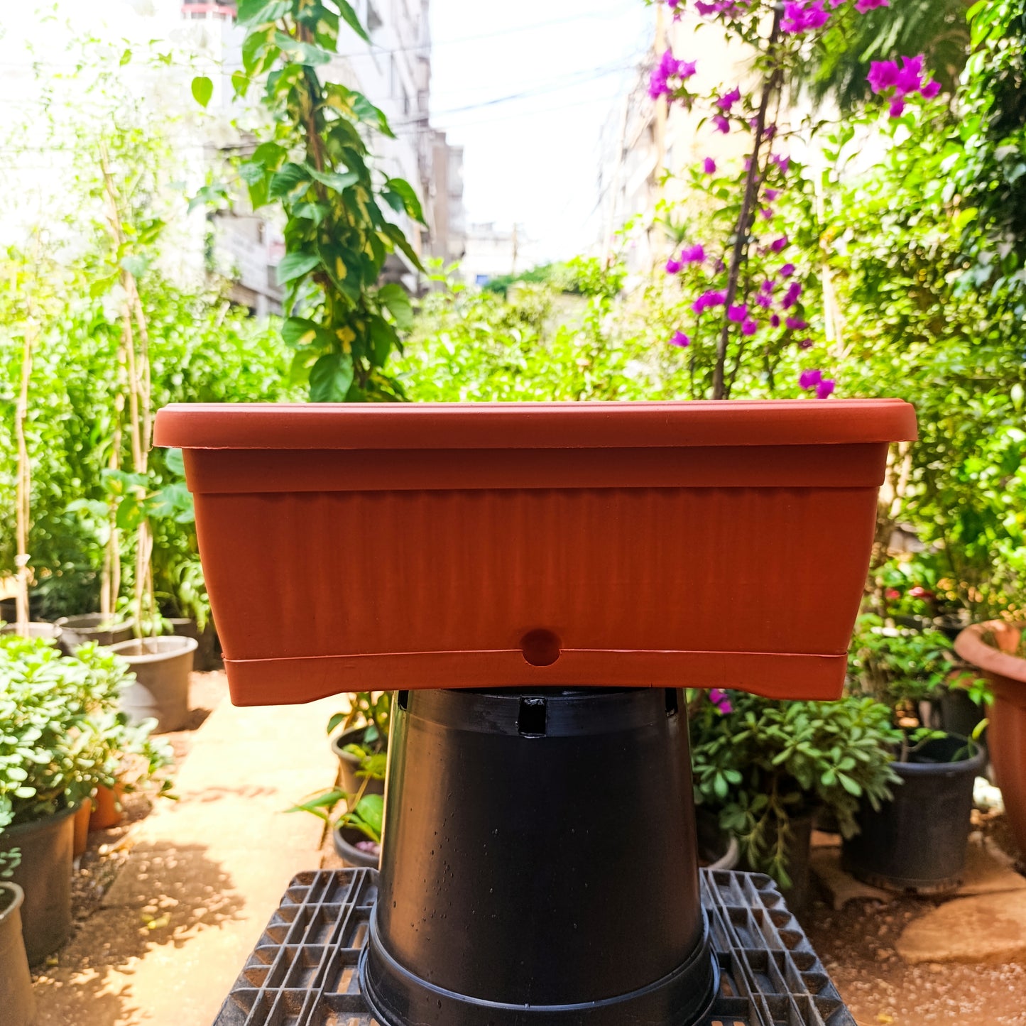 Plastic Rectangular Ridged Planter
