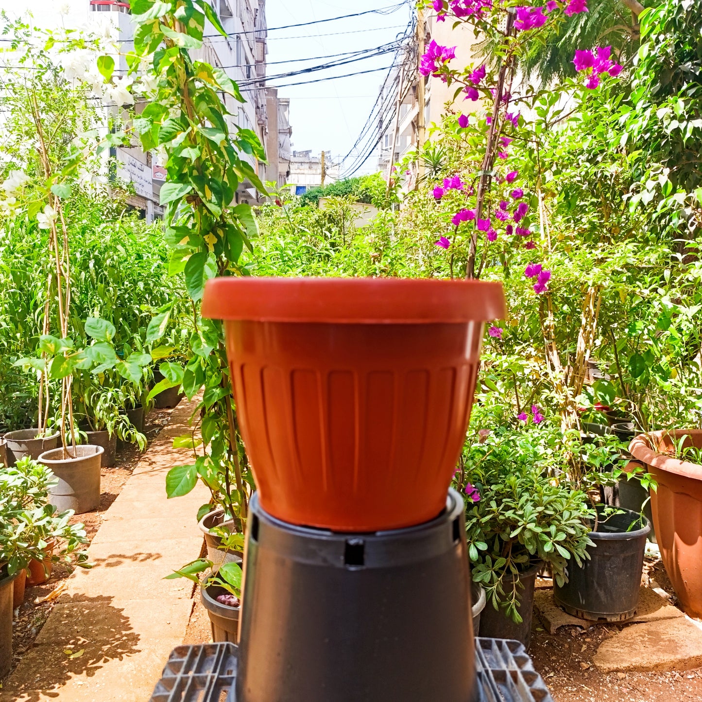 Ridged Planter