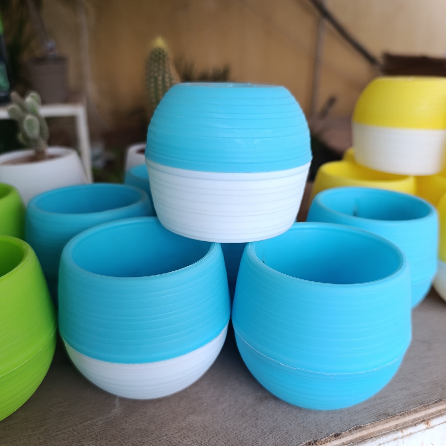 Swappable Base  Succulent Multi-Color Pots