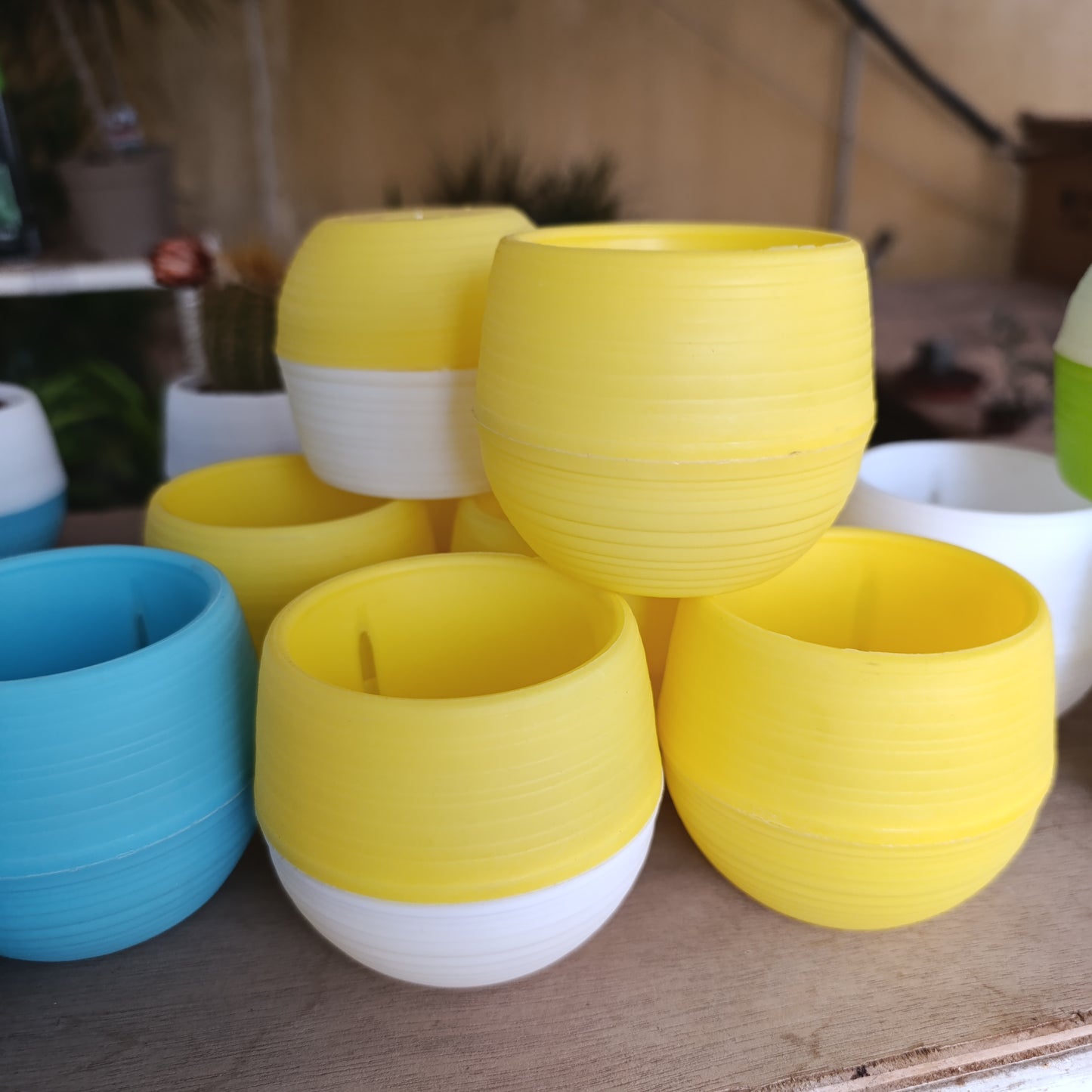 Swappable Base  Succulent Multi-Color Pots