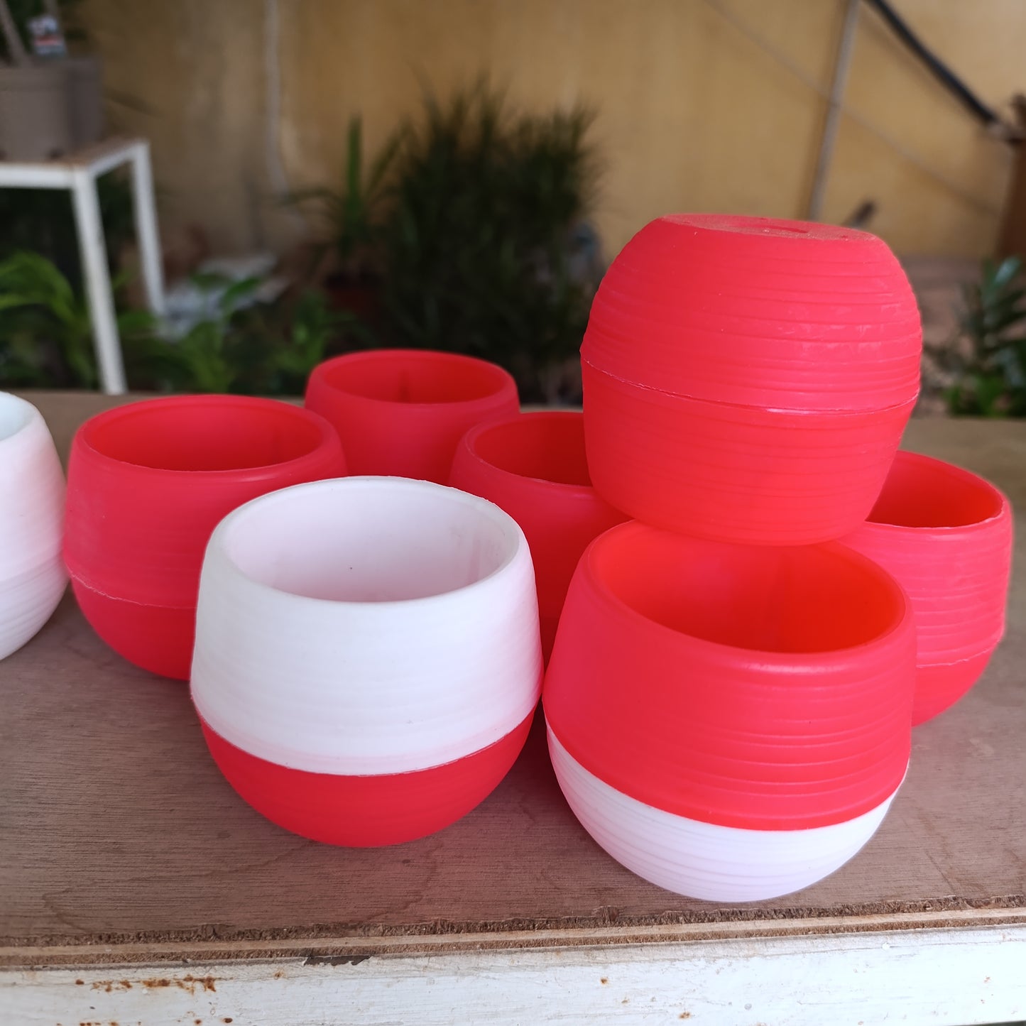 Swappable Base  Succulent Multi-Color Pots