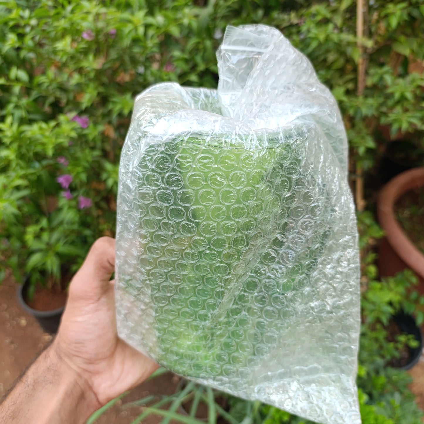 Transparent Long Spout Watering Can