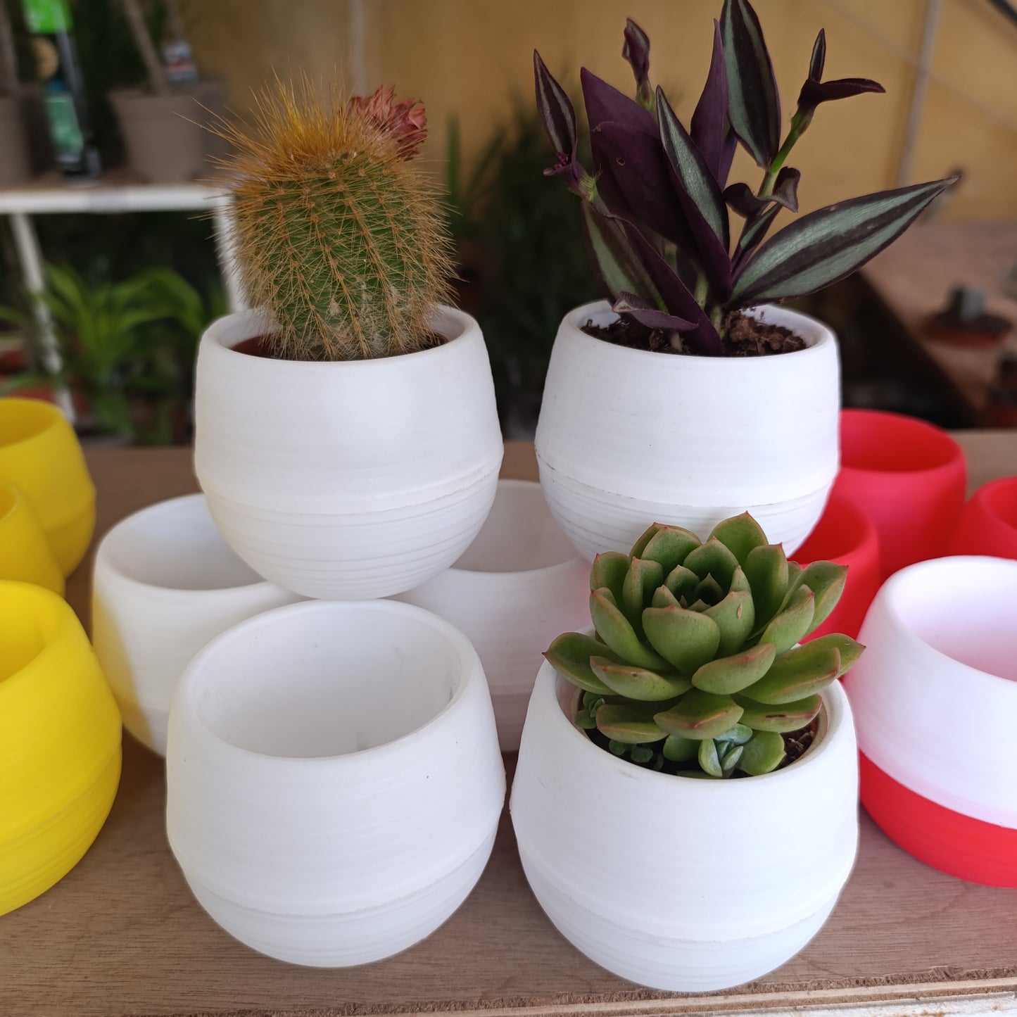Swappable Base  Succulent Multi-Color Pots