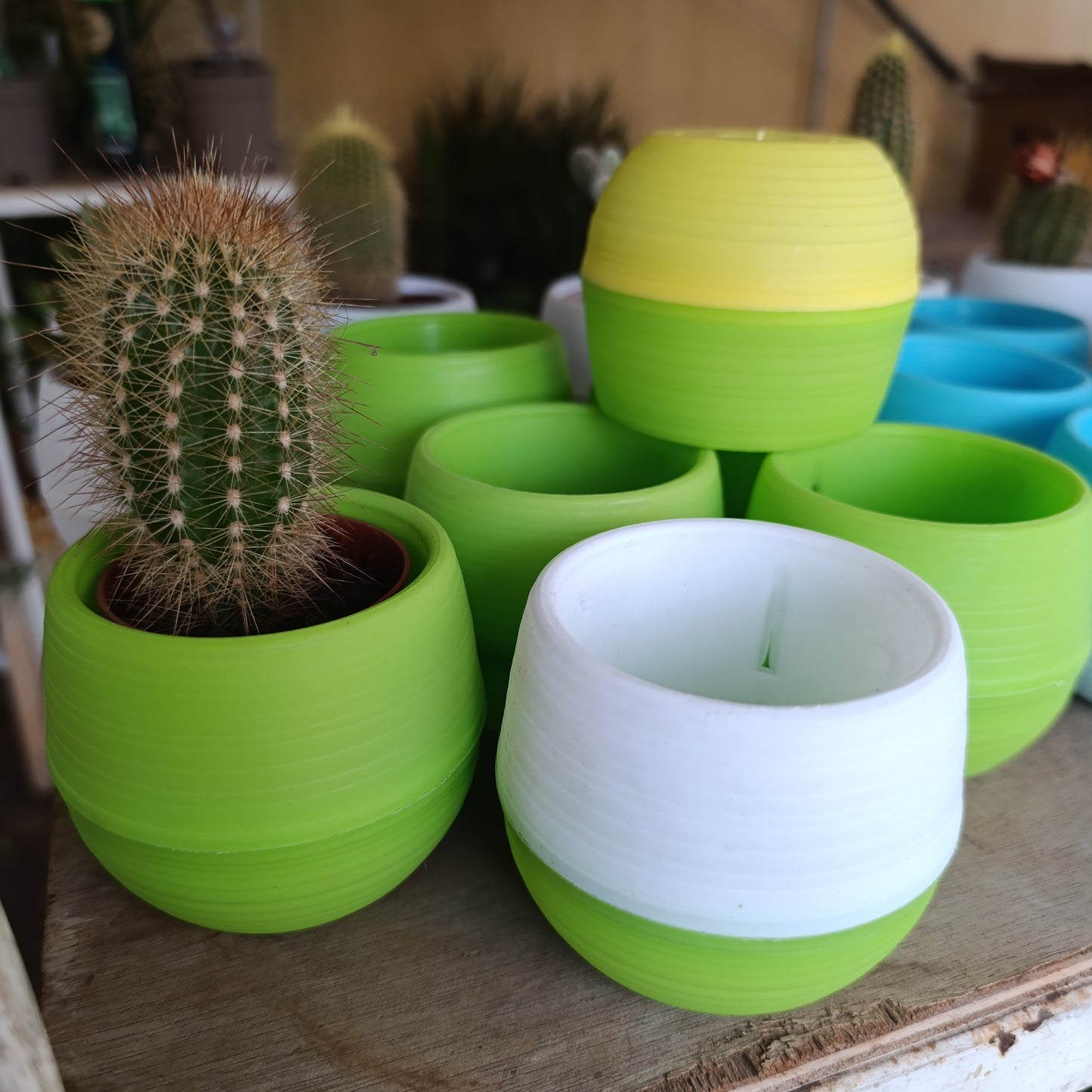 Swappable Base  Succulent Multi-Color Pots
